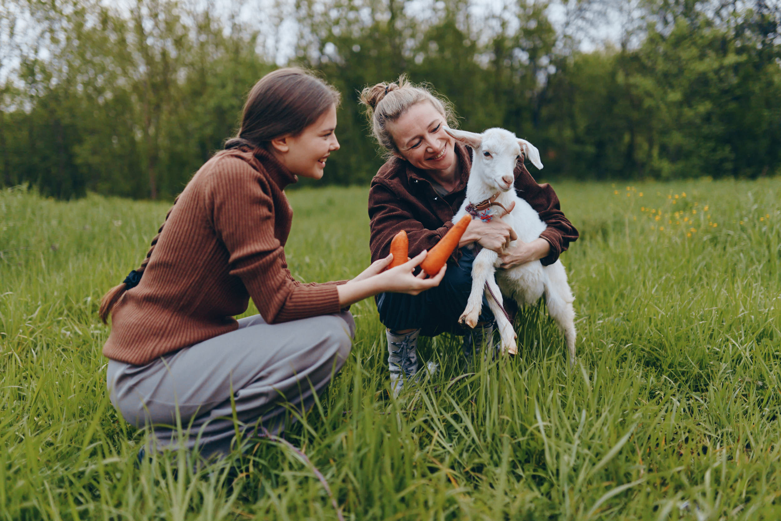 Александр Иванов — отзыв о туре в Грузию
